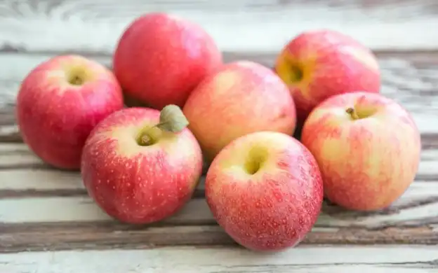 Image of Apple, Gala