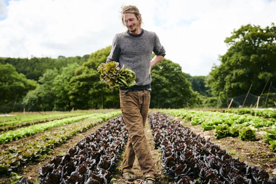 From Our Farmers