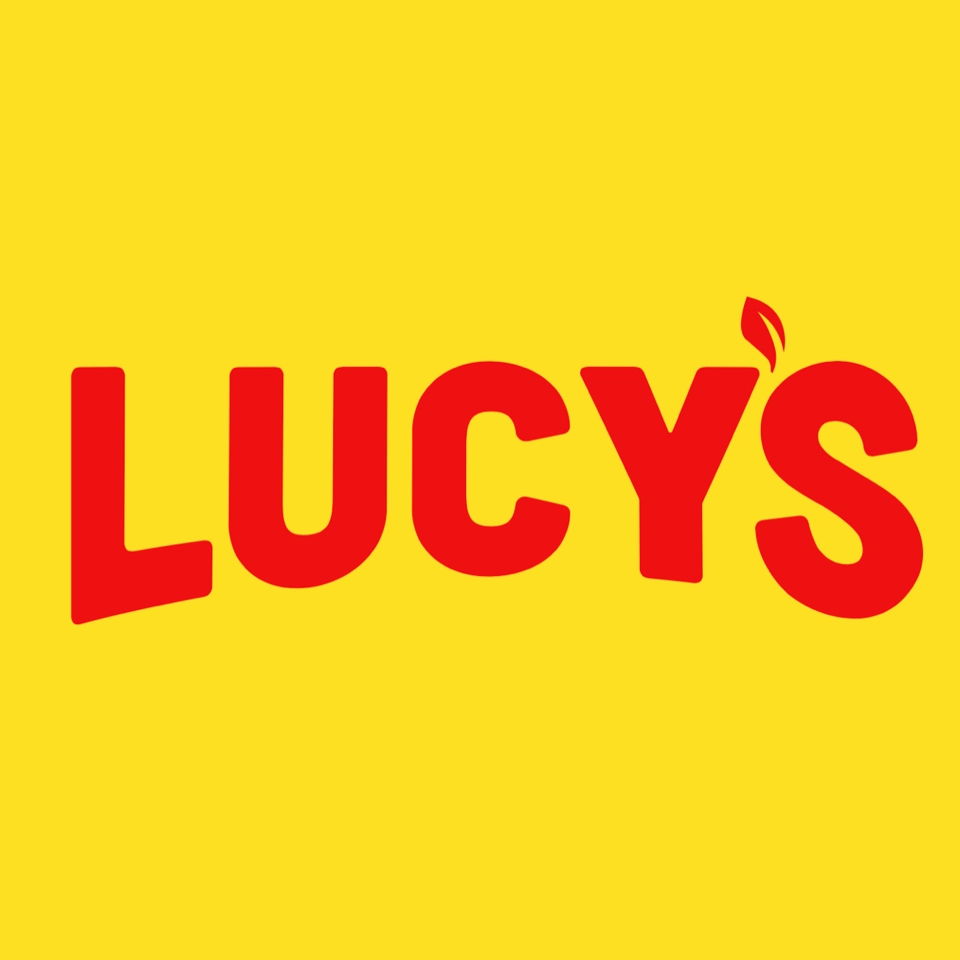 Lucy's Enterprises Inc.